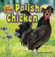 Polish_Chicken